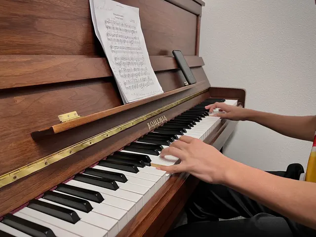 Concert School of Music — photo from the business 6