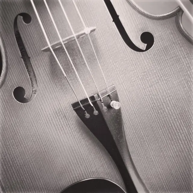 Concert School of Music — photo from the business 8