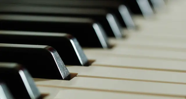 Marcy Davis Piano Studio - Piano Lessons for Adults — photo from the business 8