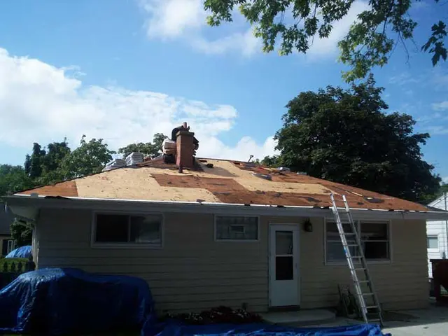 Absolute Home Improvements Inc. — photo from the business 10