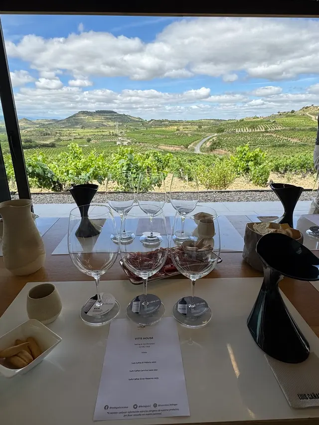 Vitis House — photo from the business 7