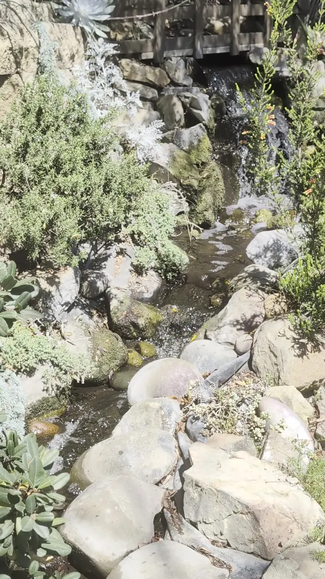 Customer photo of work by The Water Conservation Garden, from James Bray's review
