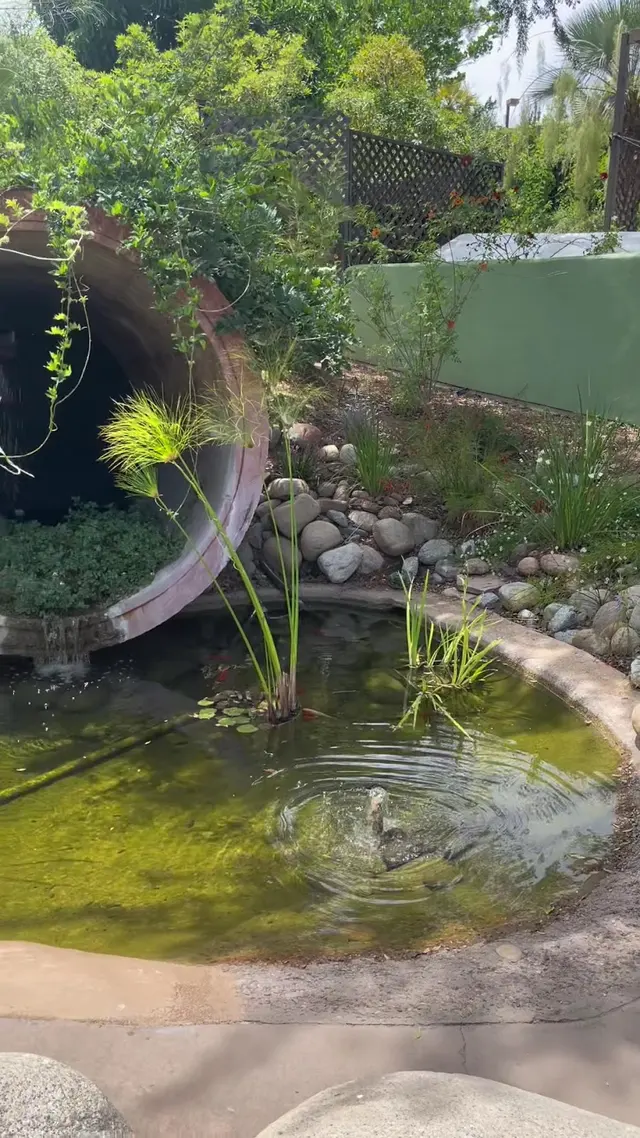 Customer photo of work by The Water Conservation Garden, from Wandering in Paradise's review