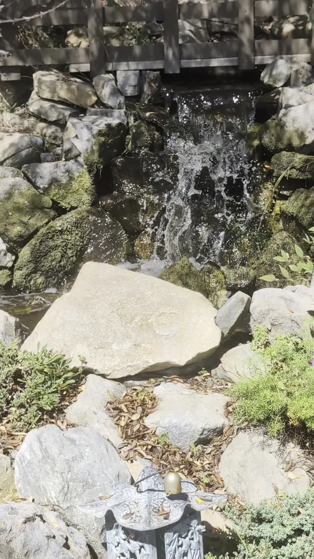 Customer photo of work by The Water Conservation Garden, from James Bray's review
