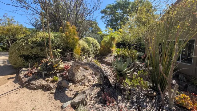 Customer photo of work by The Water Conservation Garden, from James Bray's review