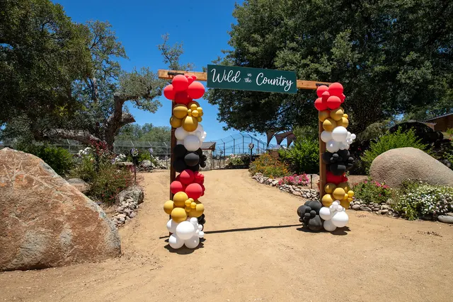 Lions Tigers & Bears The San Diego Animal Sanctuary® — photo from the business 2