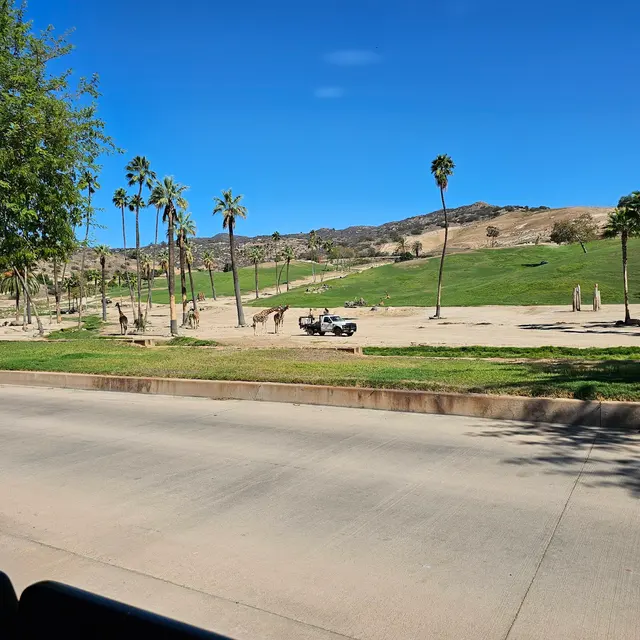 Customer photo of work by San Diego Zoo Safari Park, from Queen Ola's review