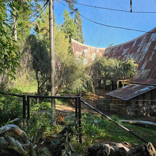 San Diego Zoo Safari Park — customer photo 10