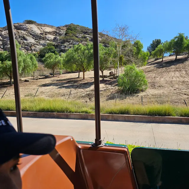 Customer photo of work by San Diego Zoo Safari Park, from Queen Ola's review