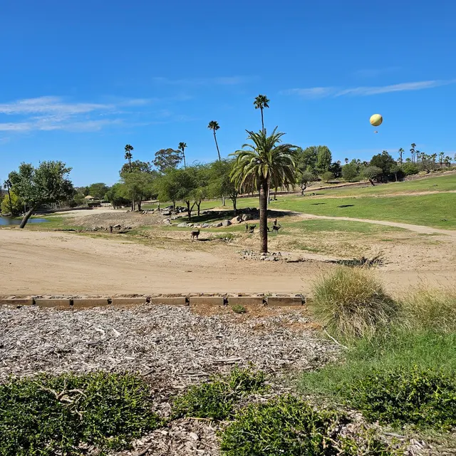 Customer photo of work by San Diego Zoo Safari Park, from Queen Ola's review