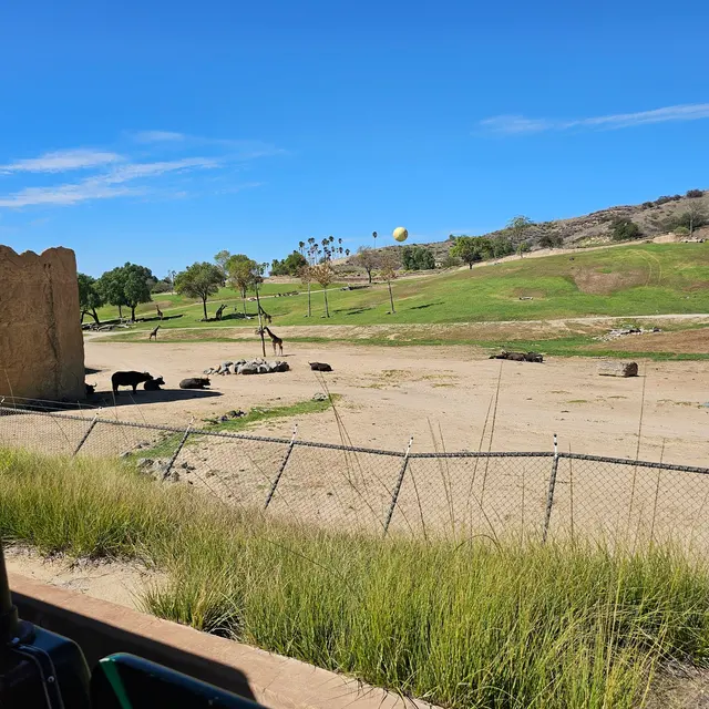 Customer photo of work by San Diego Zoo Safari Park, from Queen Ola's review
