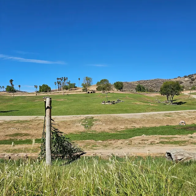 Customer photo of work by San Diego Zoo Safari Park, from Queen Ola's review