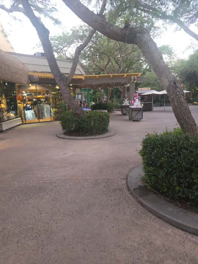 Customer photo of work by San Diego Zoo Safari Park, from Antonio Echeverria's review