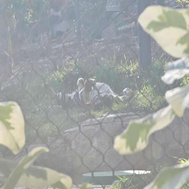 San Diego Zoo Safari Park — customer photo 9