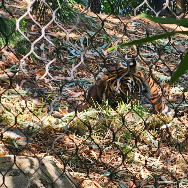San Diego Zoo Safari Park — customer photo 4