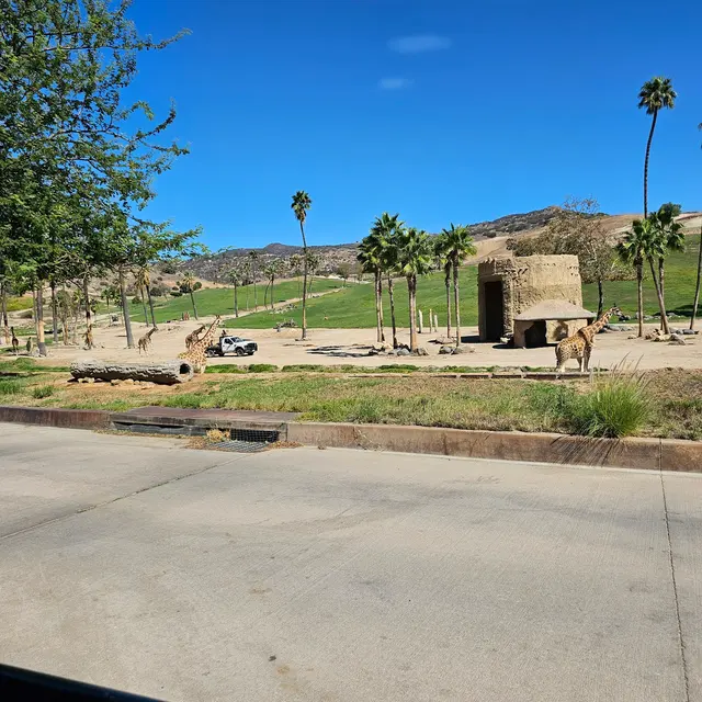 Customer photo of work by San Diego Zoo Safari Park, from Queen Ola's review