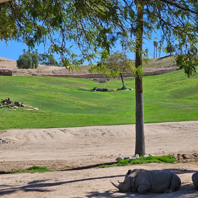 San Diego Zoo Safari Park — customer photo 6