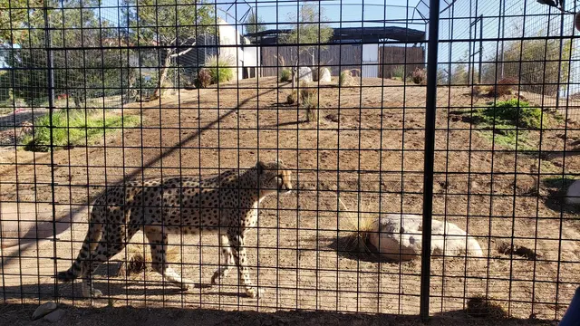 Wild Wonders, Inc — customer photo 10
