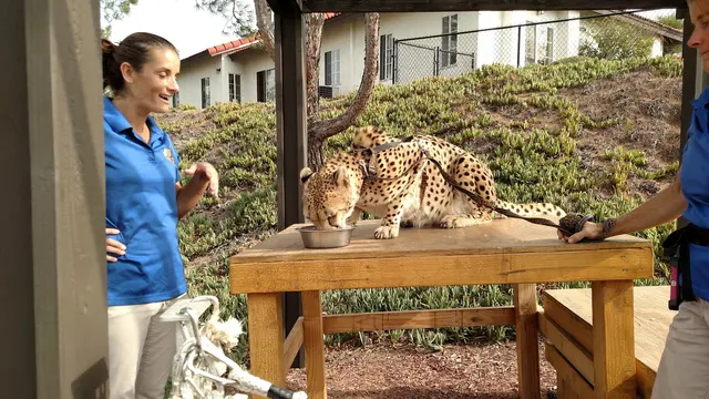 Wild Wonders, Inc — customer photo 2