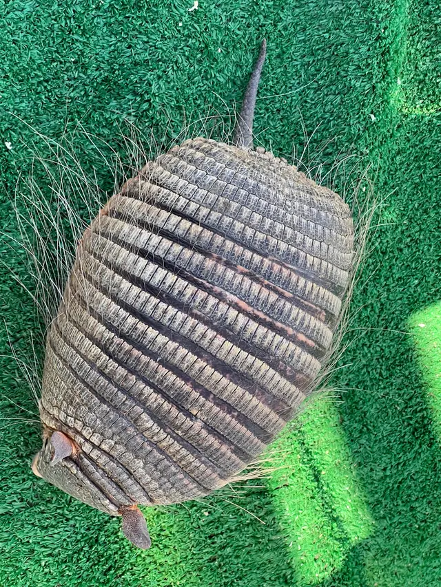 Wild Wonders, Inc — customer photo 9