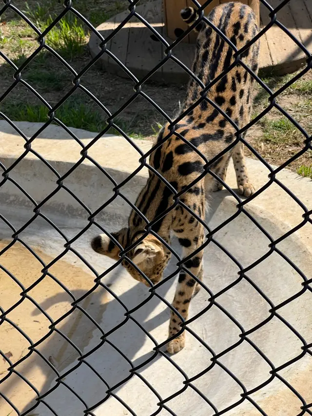 Wild Wonders, Inc — customer photo 1