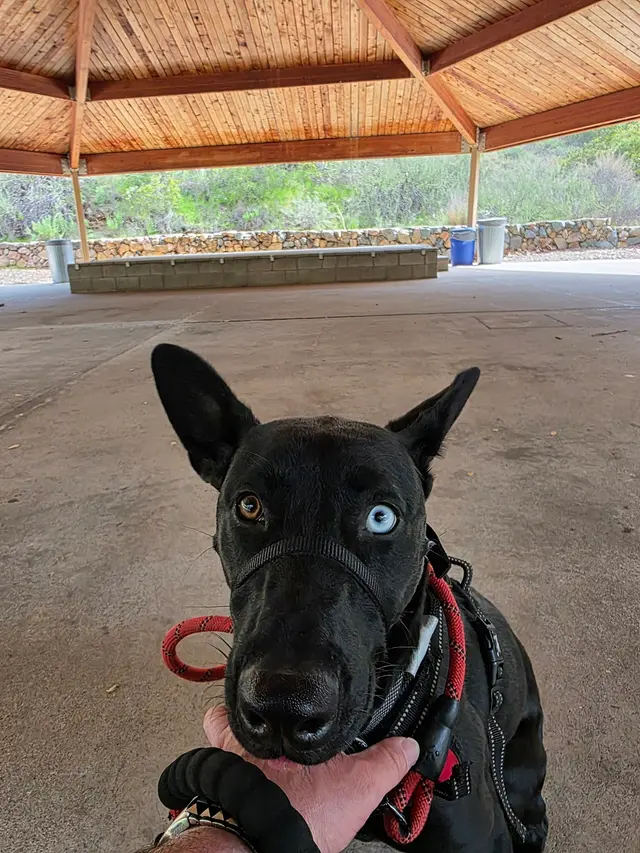 Flinn Springs County Park — customer photo 11