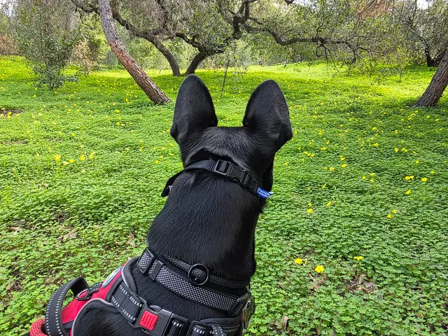 Flinn Springs County Park — customer photo 10