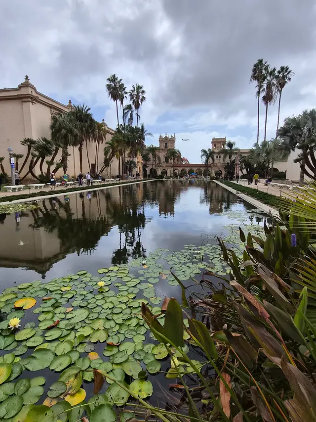 Customer photo of work by Balboa Park, from Alicia Lee's review