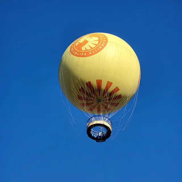 Balloon Safari — customer photo 11