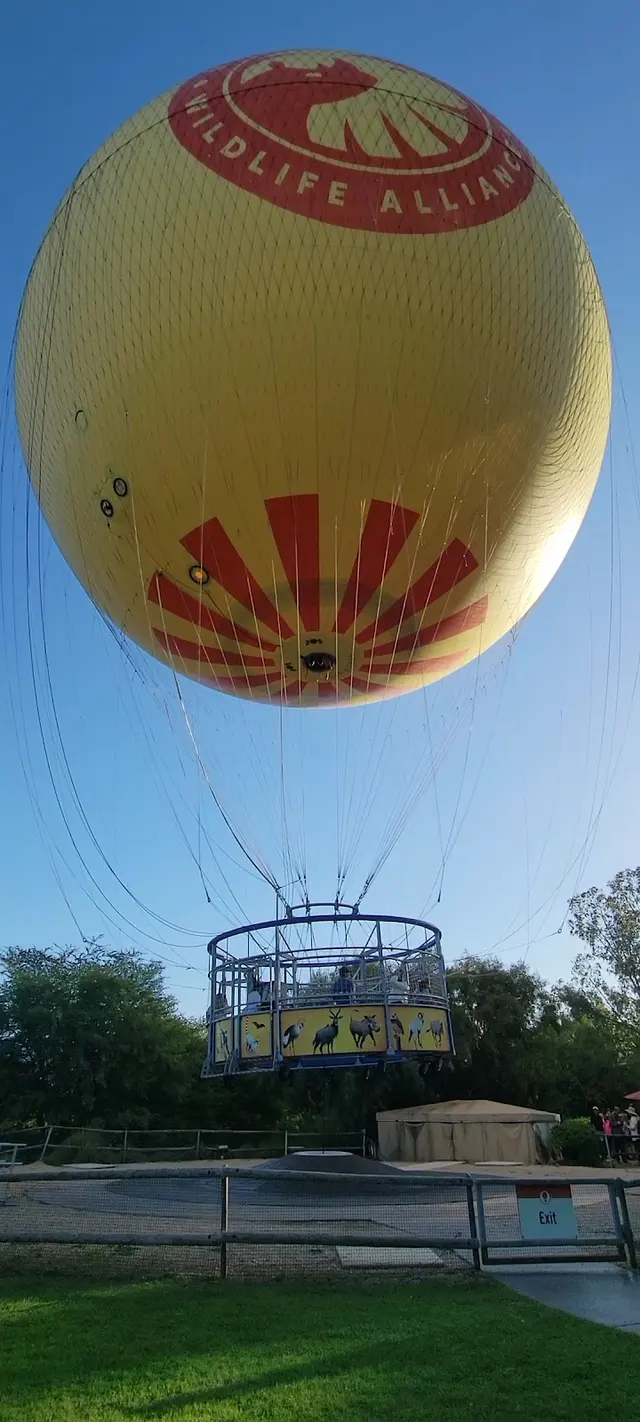 Balloon Safari — customer photo 9