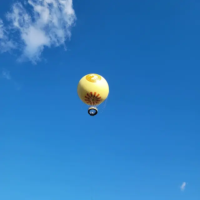 Balloon Safari — customer photo 10