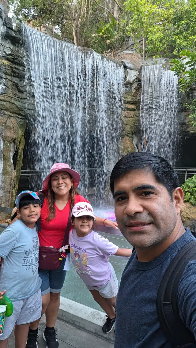 Customer photo of work by San Diego Zoo, from Cynthia War's review