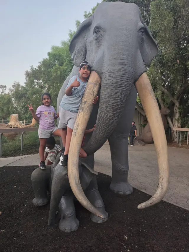Customer photo of work by San Diego Zoo, from Cynthia War's review