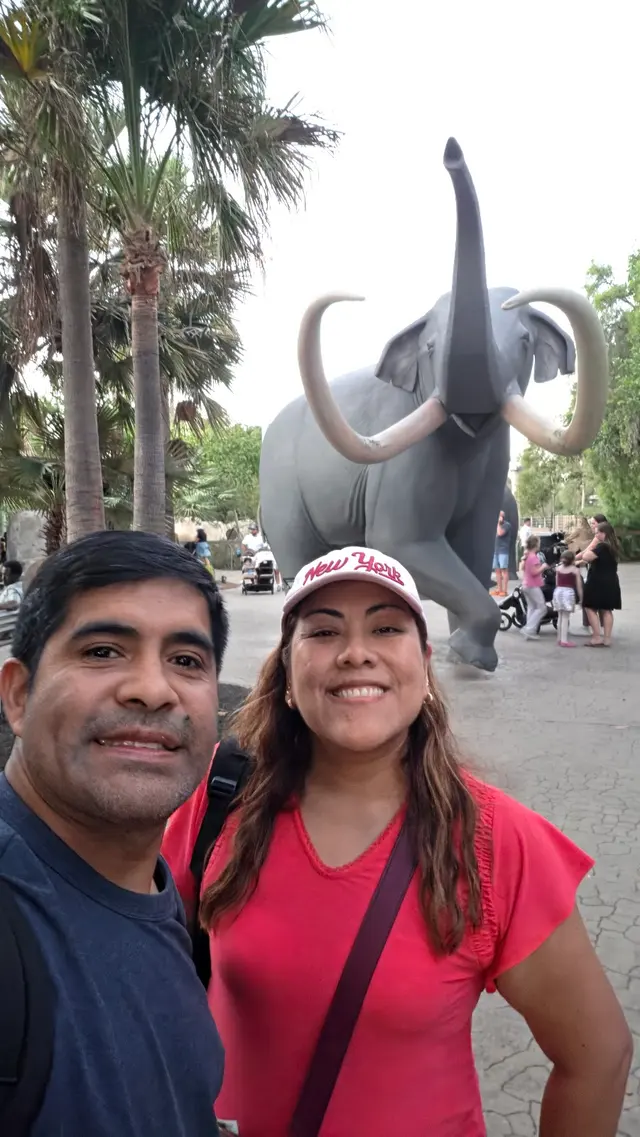 Customer photo of work by San Diego Zoo, from Cynthia War's review