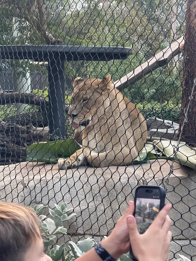 San Diego Zoo — customer photo 2