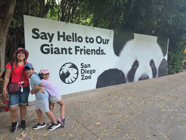 Customer photo of work by San Diego Zoo, from Cynthia War's review