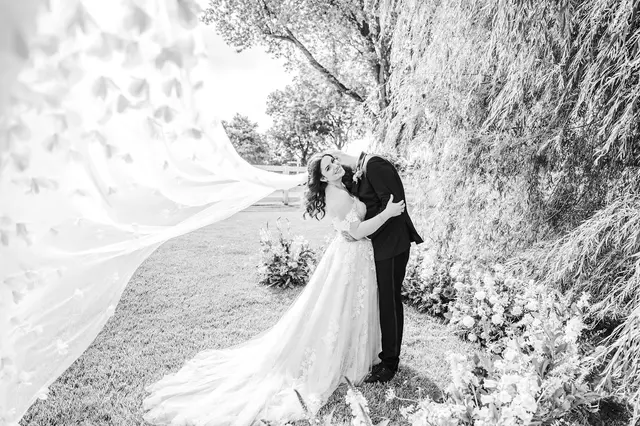 Amanda Summers Photography — customer photo 4