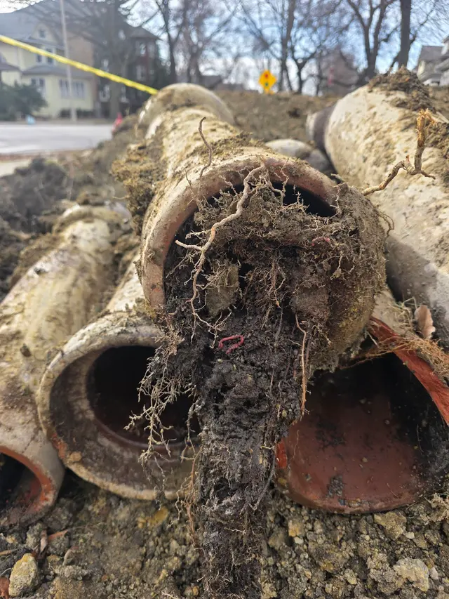 Grayson Sewer and Drain Services — photo from the business 7