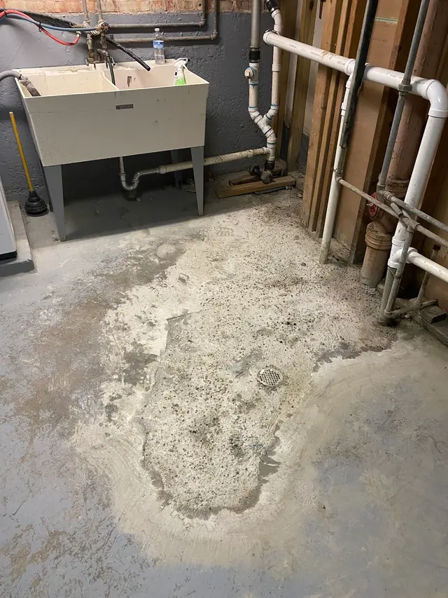 Chicago Drain Tech Emergency Plumbers — customer photo 6