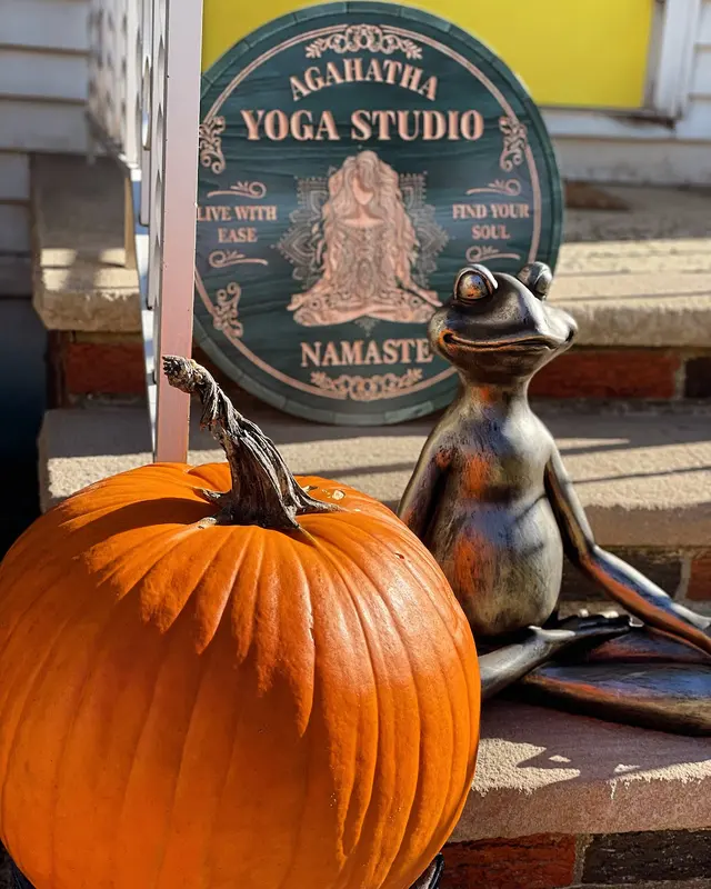 Agahatha Yoga — photo from the business 7