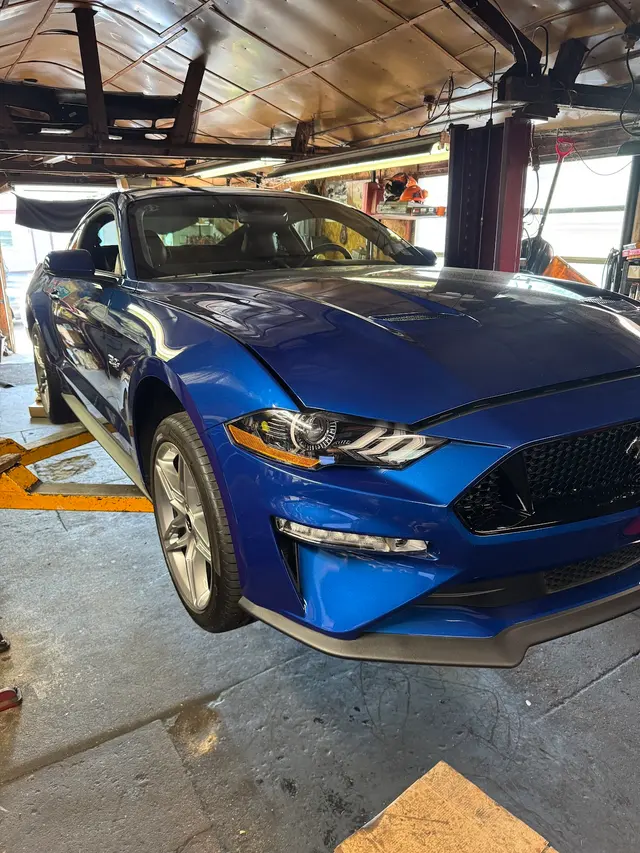 Dapper Auto — customer photo 3