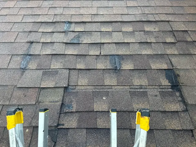 Customer photo from abe's review