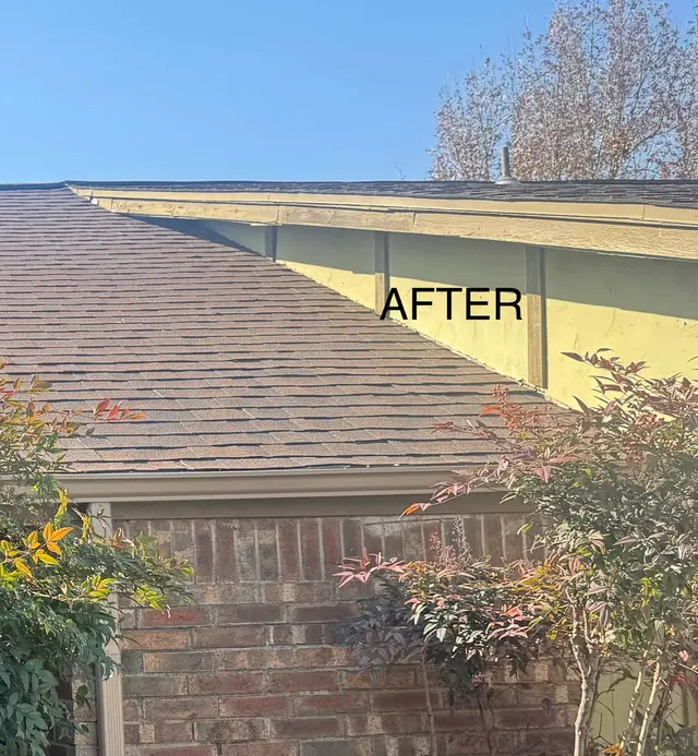 Customer photo from abe's review