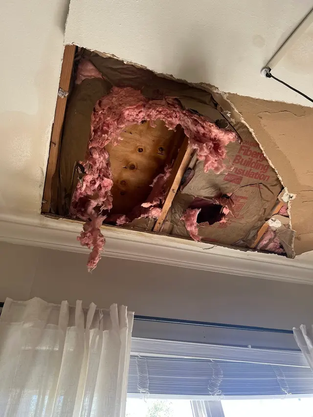 Customer photo from Tammy's review