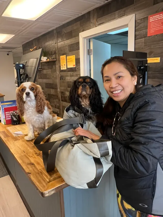DHL Express Service Point Federal Way — customer photo 8