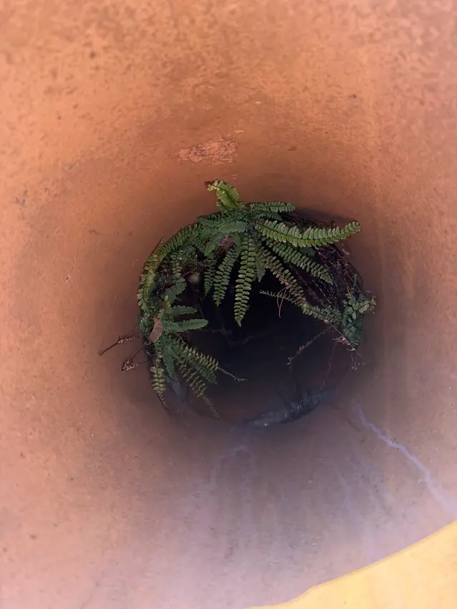 Moses Chimney — photo from the business 11