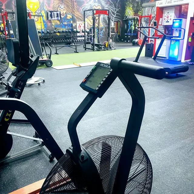 The X House Performance Center — photo from the business 12