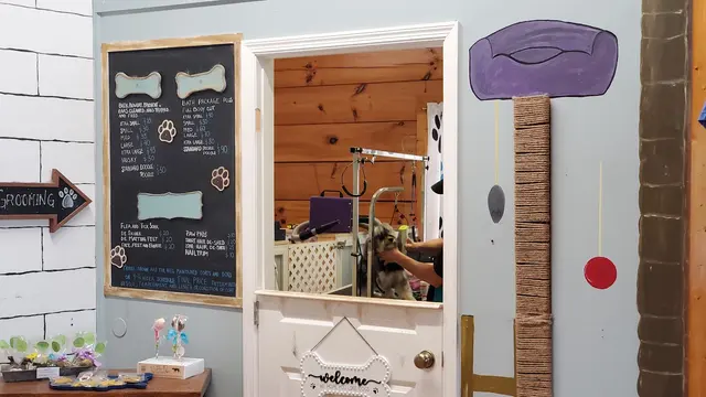 Valley Paws Boutique — customer photo 8