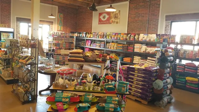 The Downtown Dog — customer photo 2