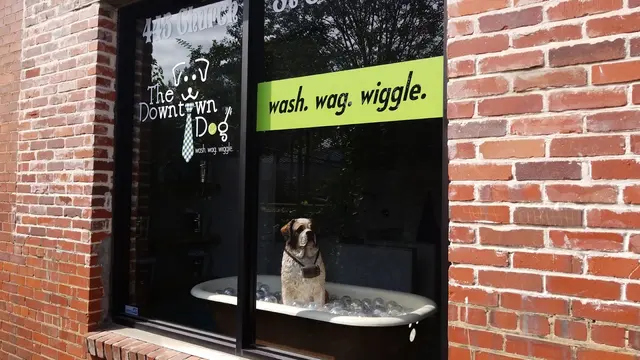 The Downtown Dog — customer photo 10
